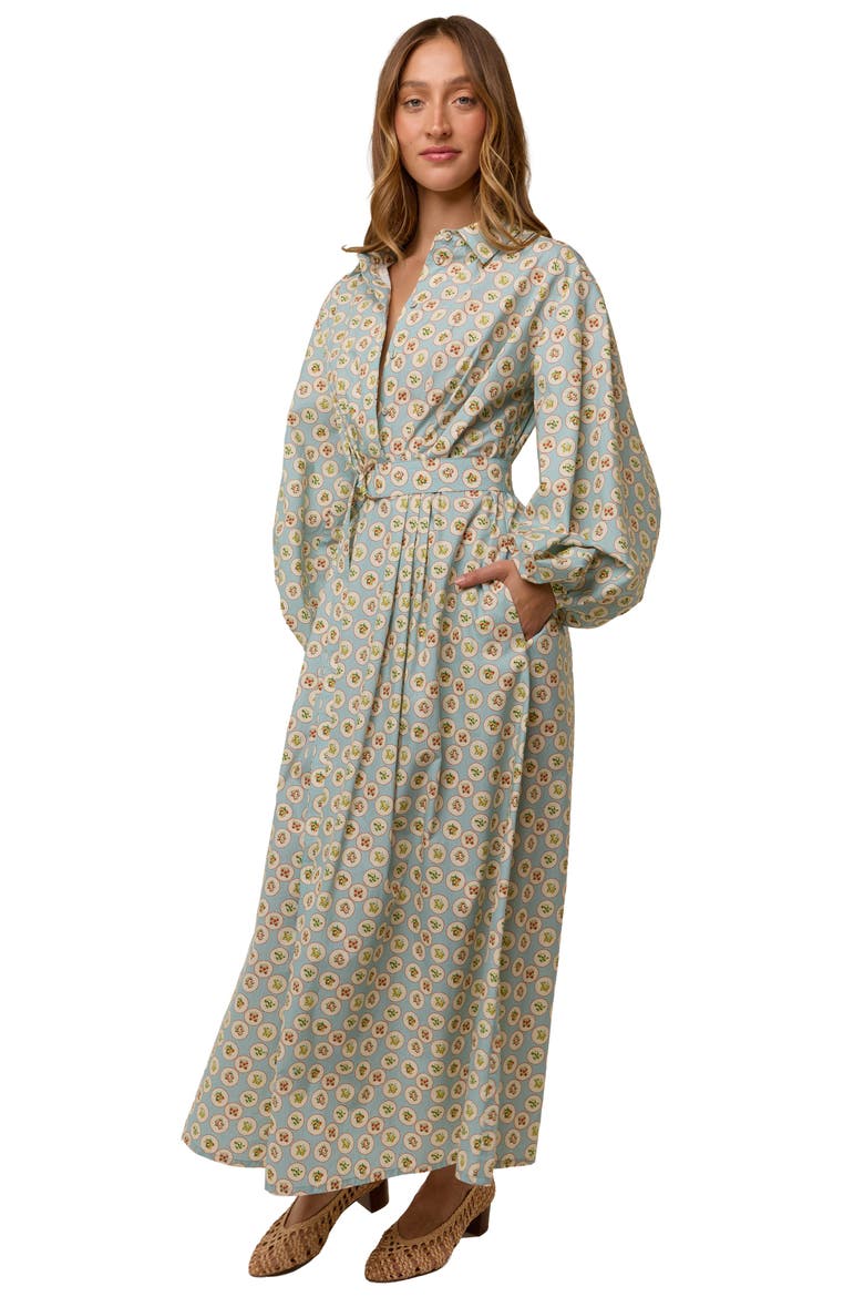 Emily Shirt Dress, Alternate, color, Tarda