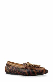 Shell Suede Loafer