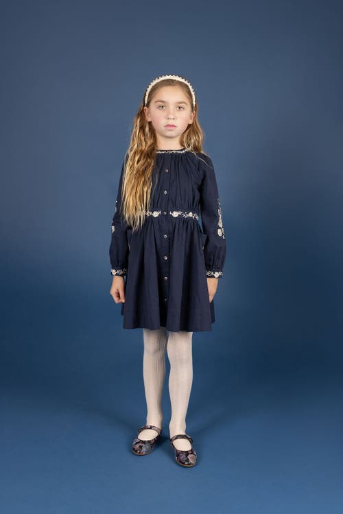 Looms Knits Looms Floral Embroidered Waisted Cotton Dress In Blue