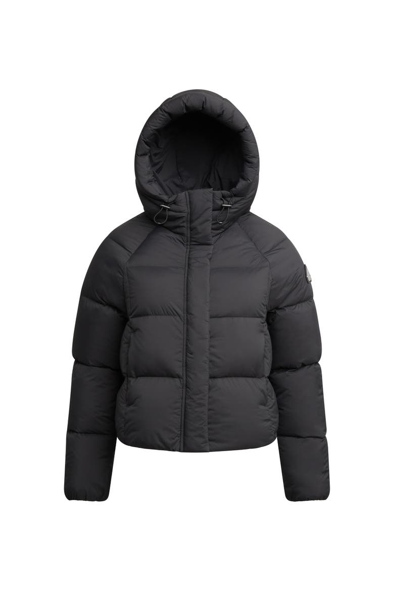 Cloud Cropped Hooded Puffer Jacket, Alternate, color, BLACK/STONE