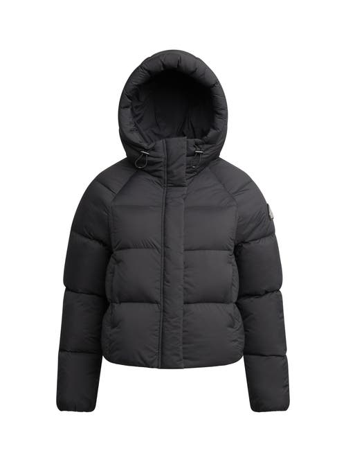 Jack1t Cloud Cropped Hooded Puffer Jacket In Black