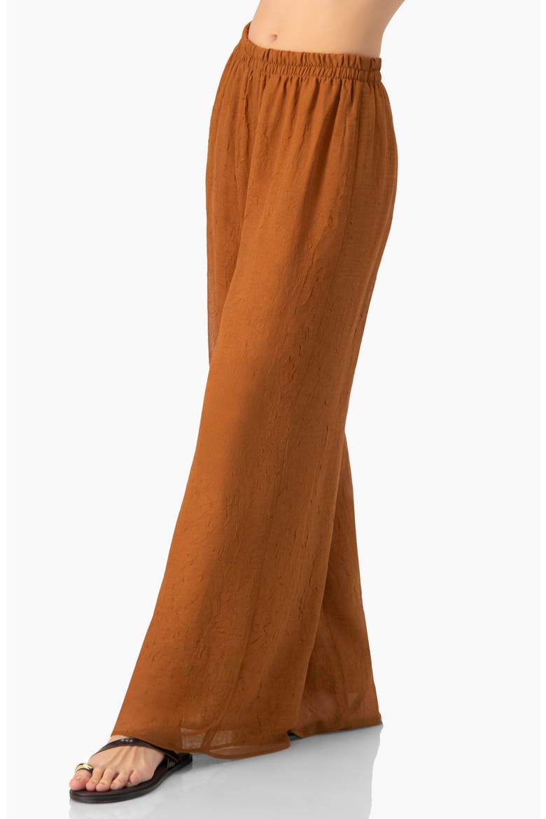 Airy Wide-Leg Elastic Waist Pants, Alternate, color, Brown