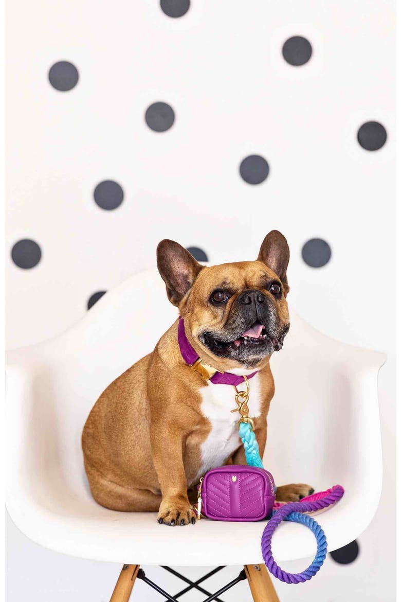 Harper Waste And Treat Pouch, Alternate, color, Harper
