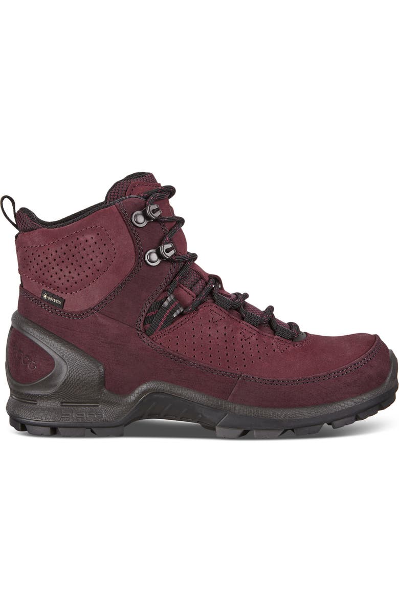 ECCO Biom Terrain Gore-Tex<sup>®</sup> Waterproof Hiking Boot, Alternate, color,