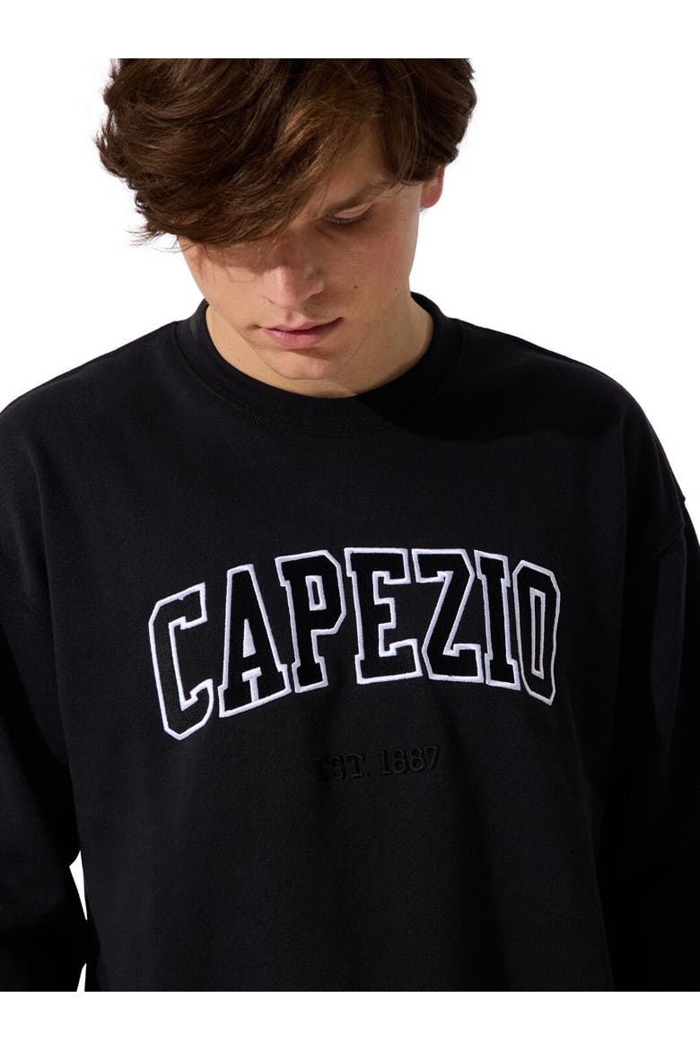 Varsity Sweatshirt, Alternate, color, black