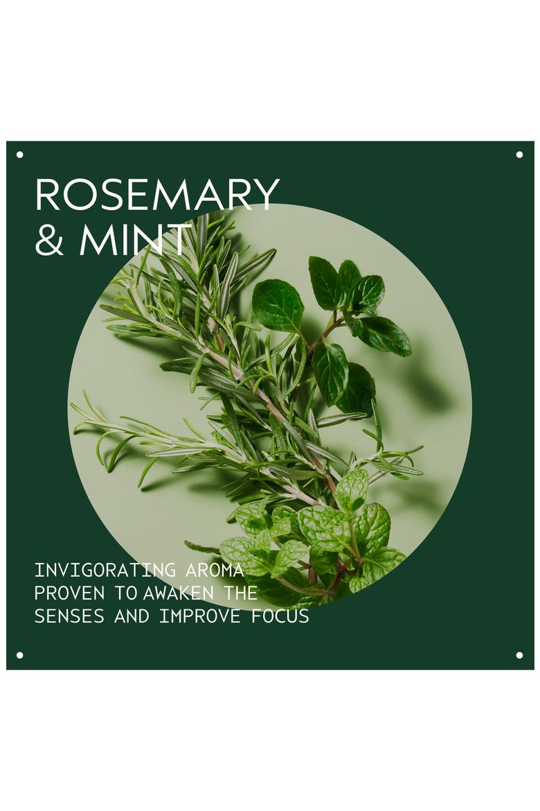 Invigorating Awe: Rosemary Mint Hair & Body Essentials 3-Piece Set $74 Value, Alternate, color, NO COLOR