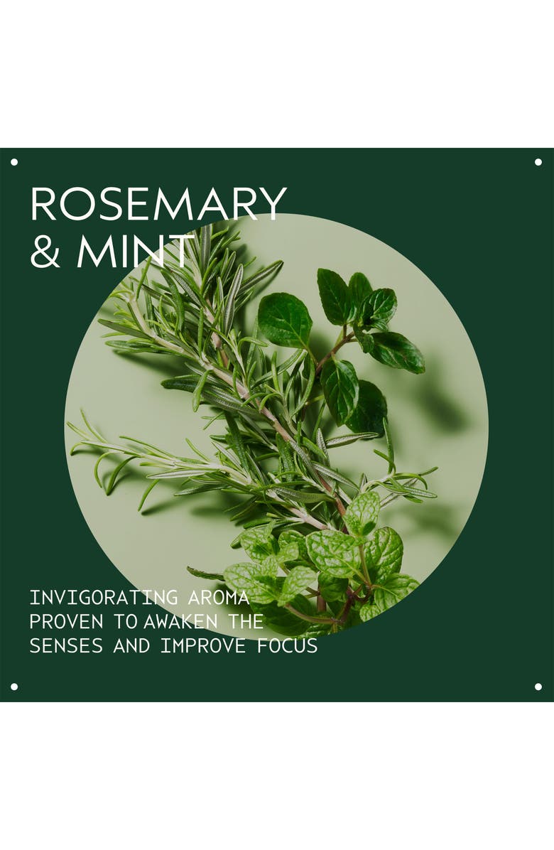 Aveda Invigorating Awe: Rosemary Mint Hair & Body Essentials 3-Piece Set $74 Value, Alternate, color,