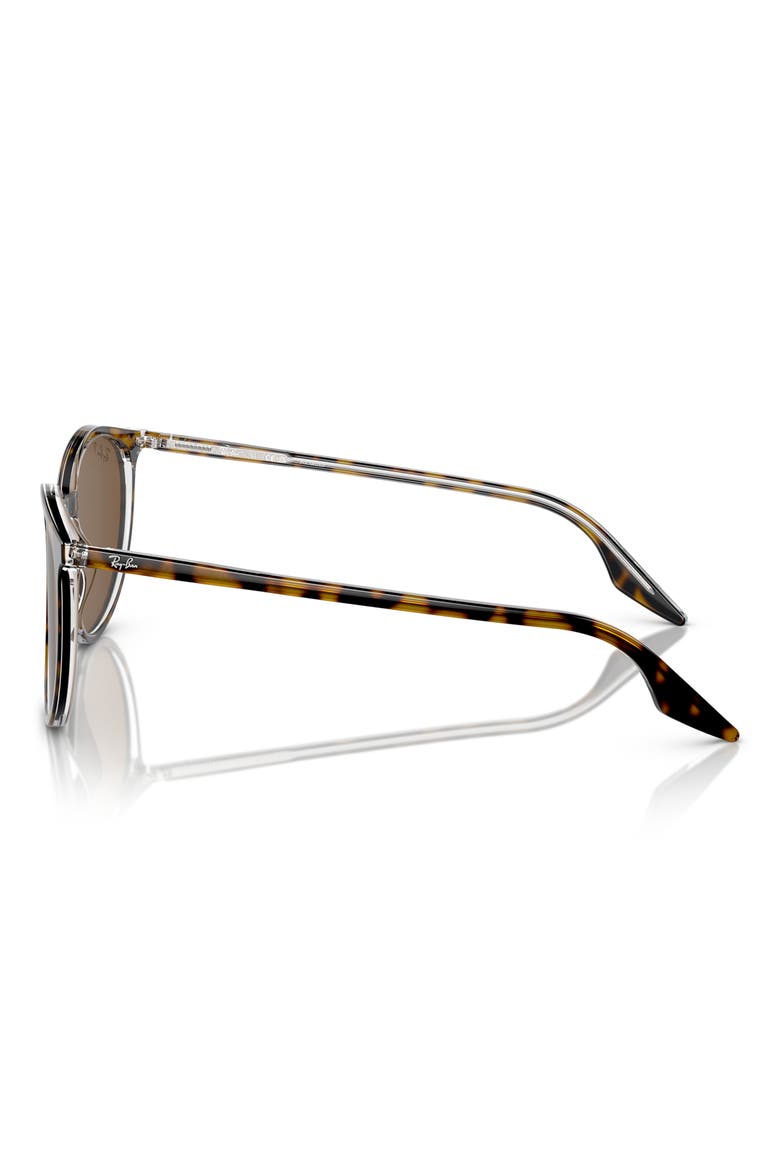 54mm Polarized Round Phantos Sunglasses, Alternate, color, BROWN