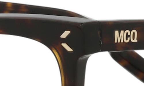 Alexander Mcqueen Mcqueen 50mm Cat Eye Optical Glasses In Havana Havana Transparent