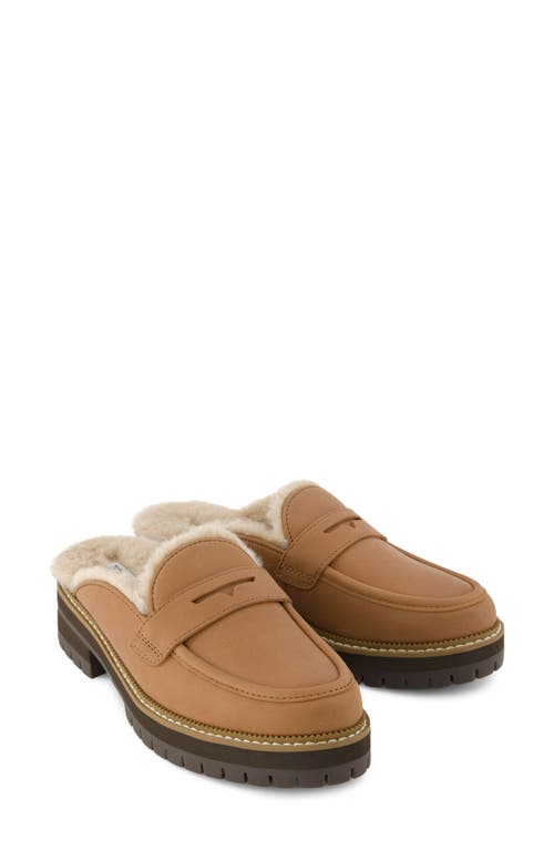 TOMS TOMS CARA FAUX FUR LINED MULE 