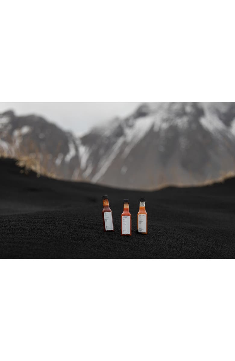 Señor Lechuga The Essentials 6-Piece Set Hot Sauces & Spice Blends, Alternate, color, 