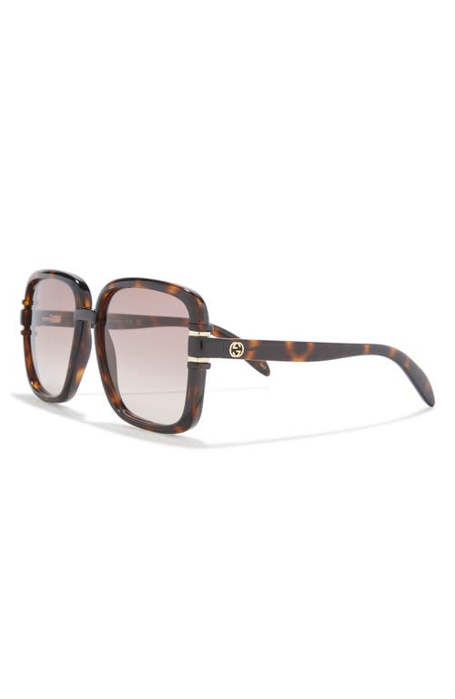 Gucci 59mm Square Sunglasses In Havana Havana Brown