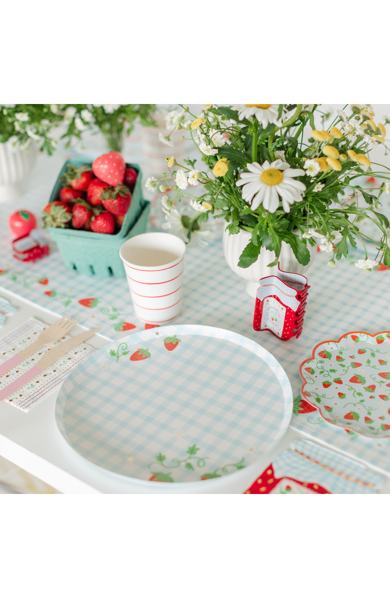 Daydream Society Strawberry Picnic Gingham Print Large Plates, Alternate, color, Assorted Pre-Pack