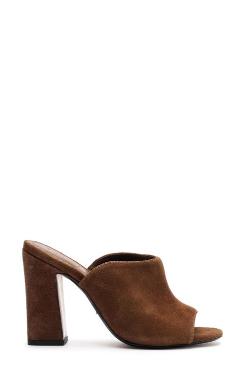 Schutz Esme Slide Sandal In Brown