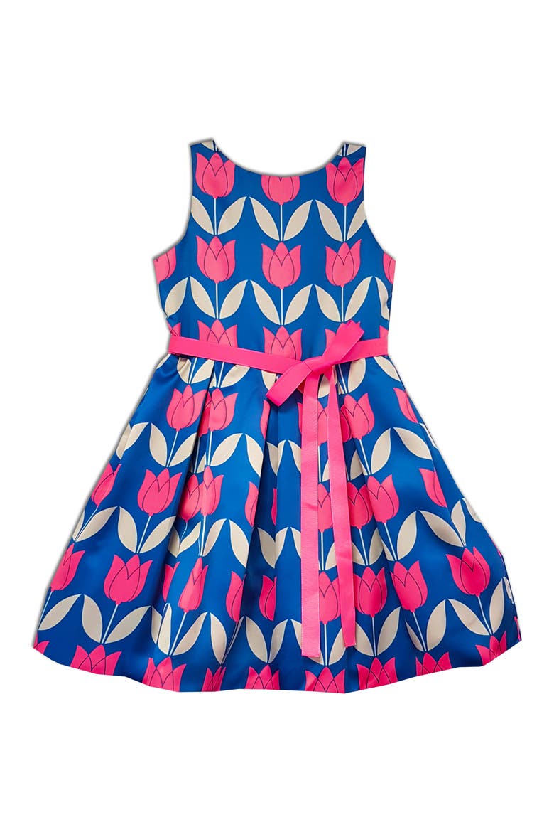 Kids' Colorful Print Party Dress, Main, color, PINK/BLUE