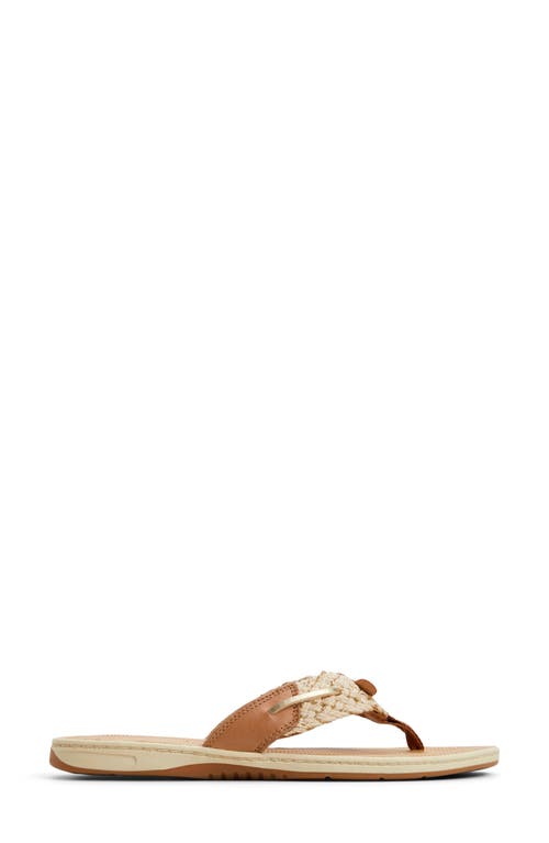 Sperry 'parrotfish' Thong Sandal