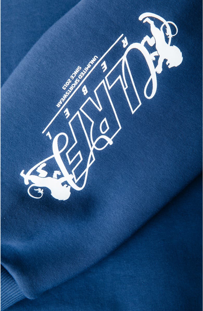 Colourful Rebel Logos Dropped Shoulder Sweat, Alternate, color, Deep Cobalt