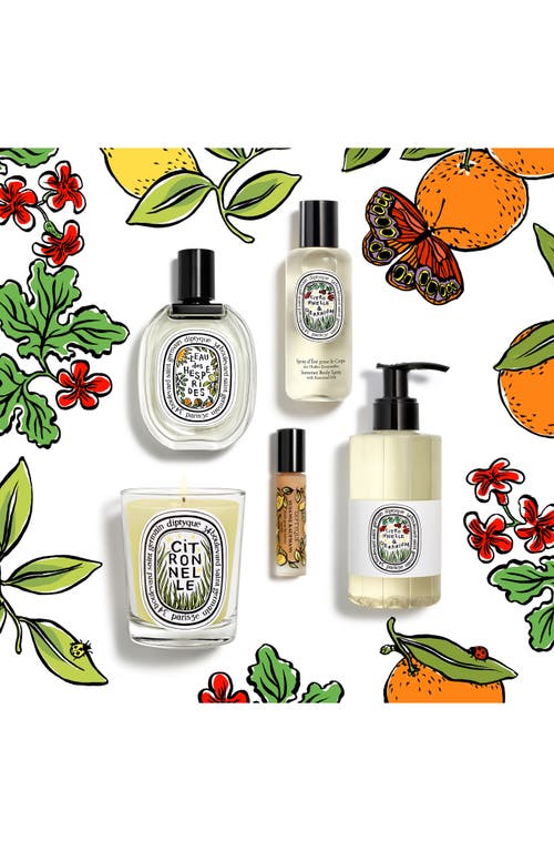 Diptyque Lemongrass & Geranium Cleansing Hand & Body Gel