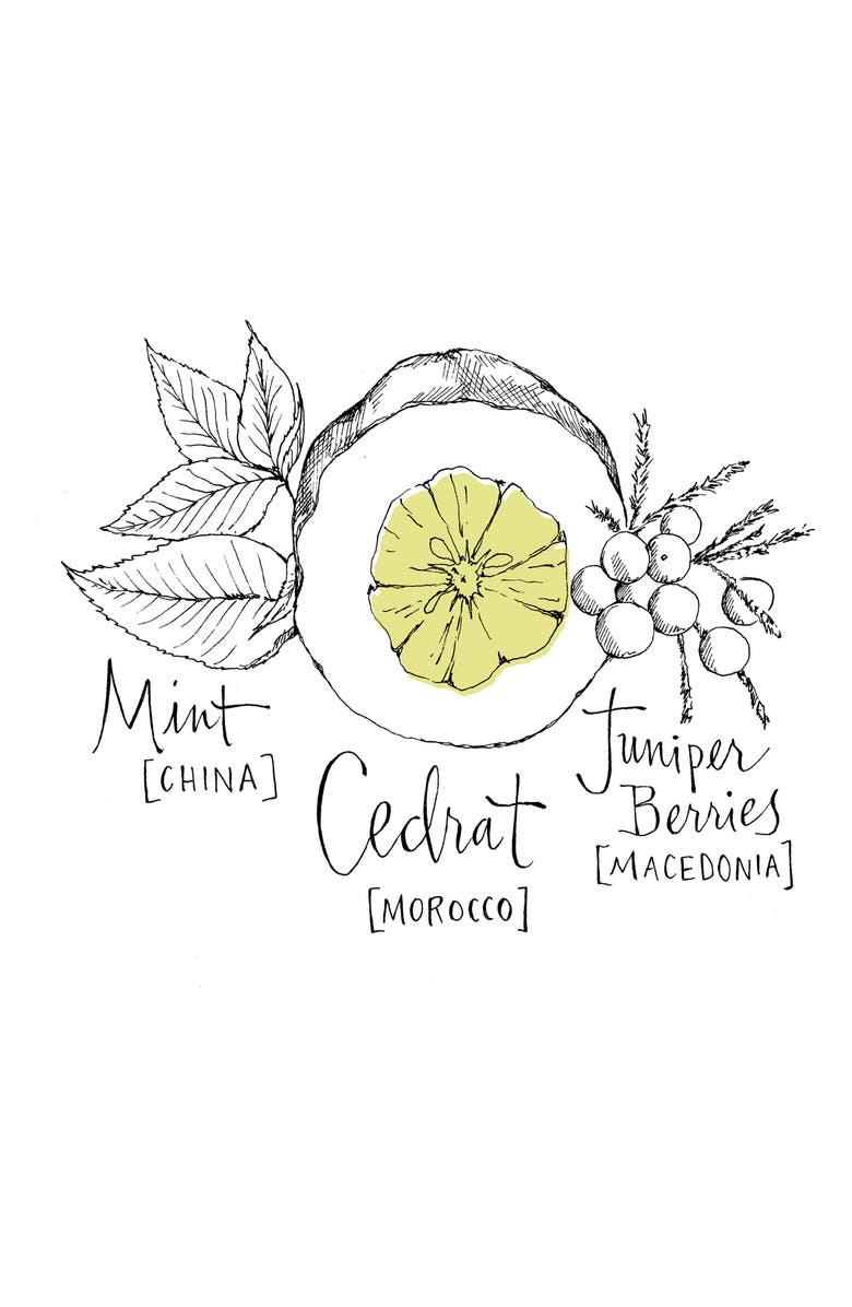 Atelier Cologne Cédrat Envirant Soap, Alternate, color, 