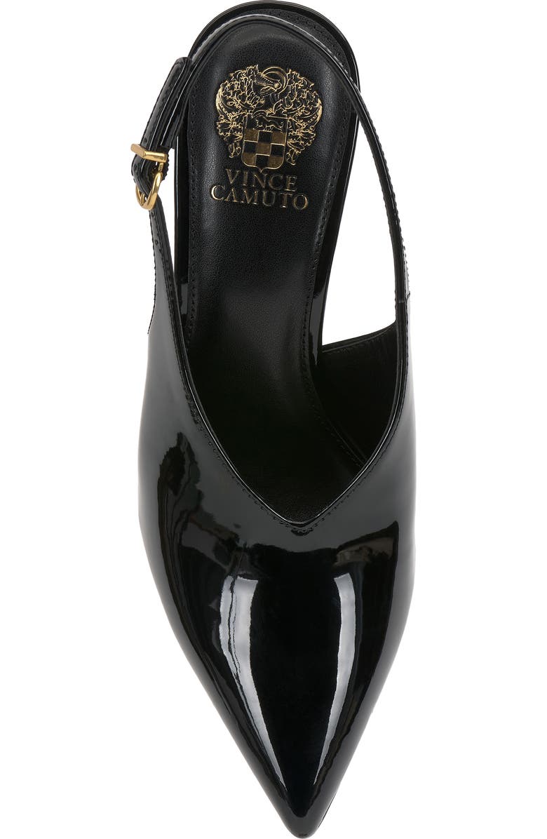Vince Camuto Meristi Slingback Pointed Toe Wedge Pump, Alternate, color, Black
