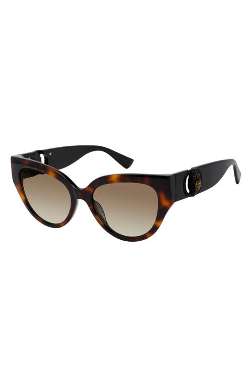 Kurt Geiger London 54mm Cat Eye Sunglasses In Havana/brown Gradient