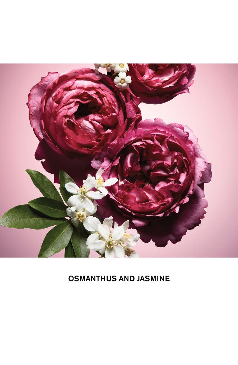 Viktor&Rolf Flowerbomb Eau de Parfum Four-Piece Set, Alternate, color,