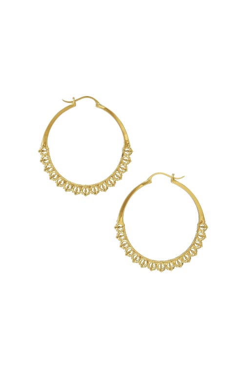 Astor & Orion Calla Hoops In Gold
