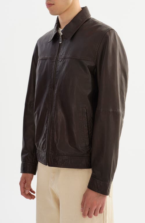 Regency Leather Jacket In Brown