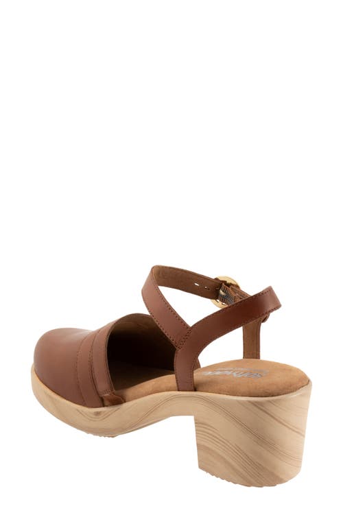 Shop Softwalk ® Fillmore Ankle Strap Platform Clog