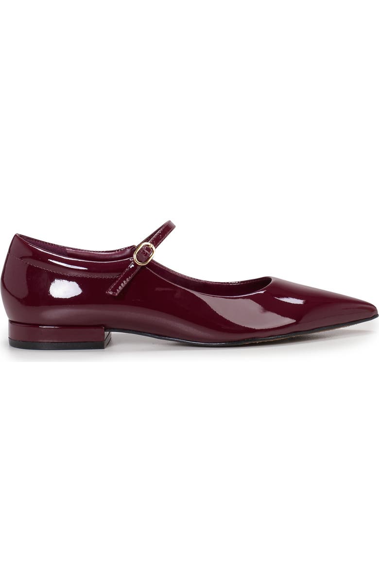 Vince Camuto Eloise Mary Jane Pointed Toe Flat, Alternate, color, Chianti