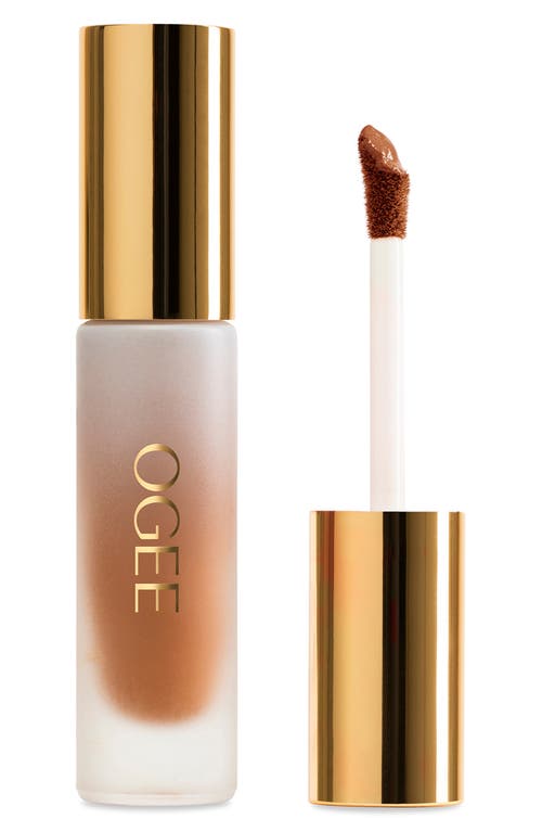 Ogee Complexion Perfecting Concealer In Brown