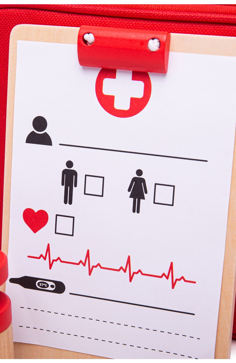 Bigjigs Toys Doctor's Kit, Alternate, color,