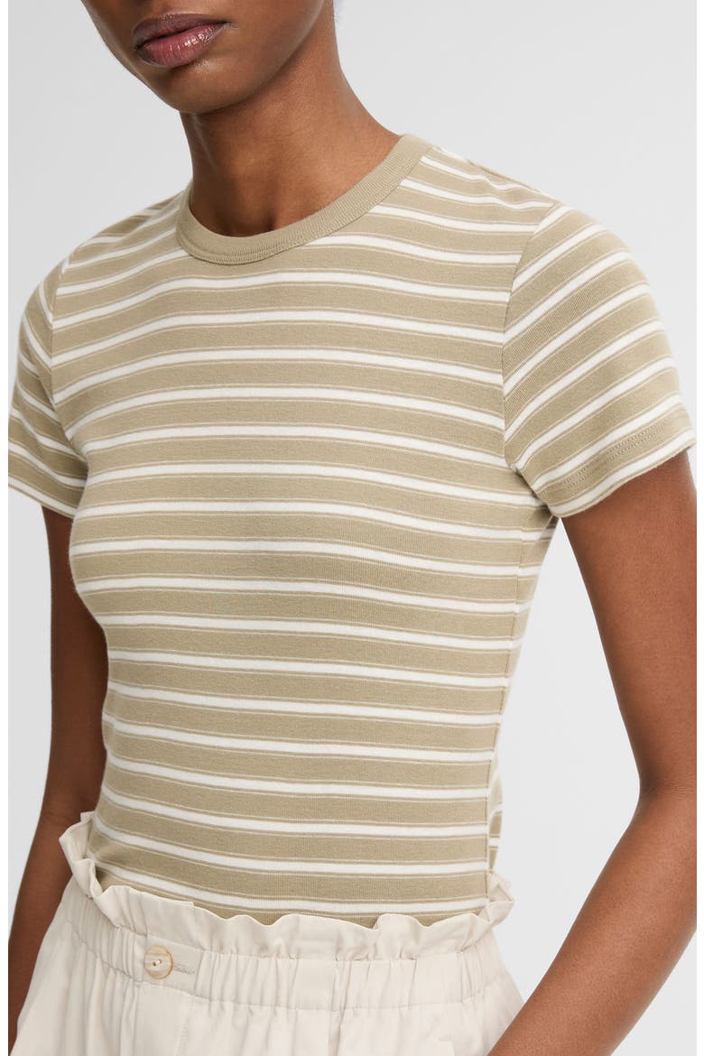 Shrunken 90s Stripe Tee, Alternate, color, SALTED MOSS COMBO