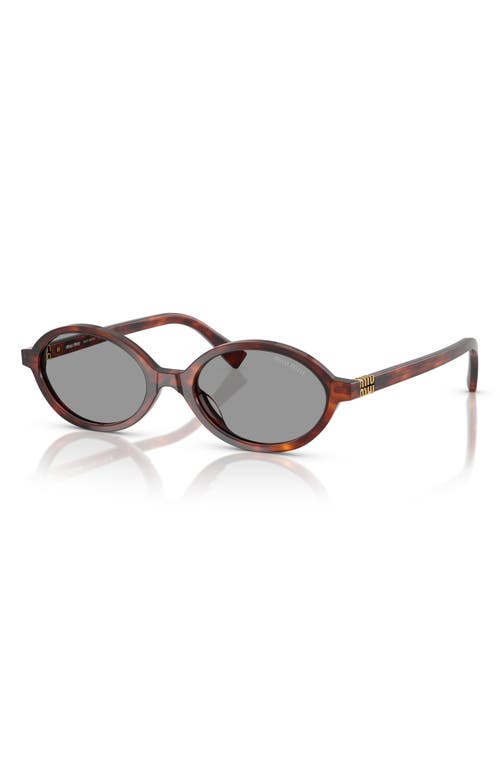 Miu Miu 0mu 04zs 21c40o Havana Mahogany Sunglasses In Grey
