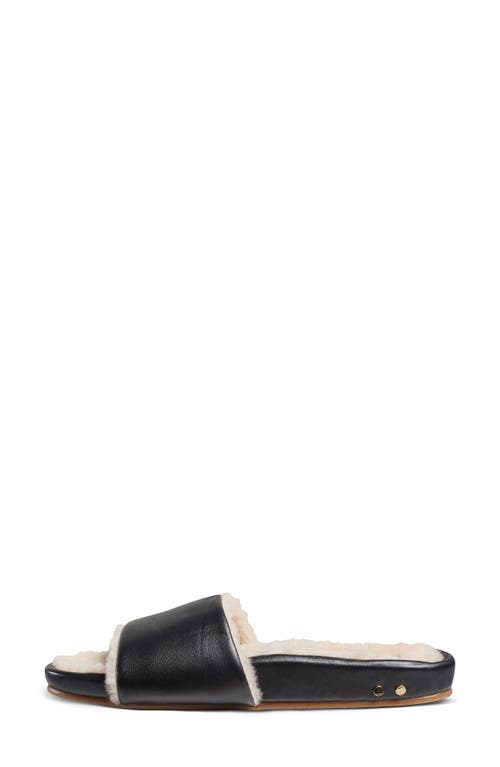 Beek Gallito Genuine Shearling Slide Sandal In Black