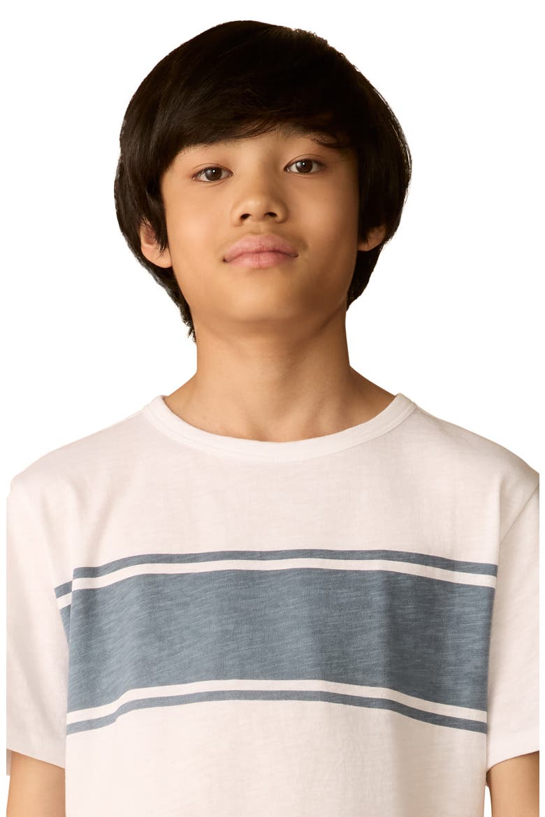 Kids' Surf Stripe Sunwashed T-shirt, Alternate, color, WHITE SURF STRIPE