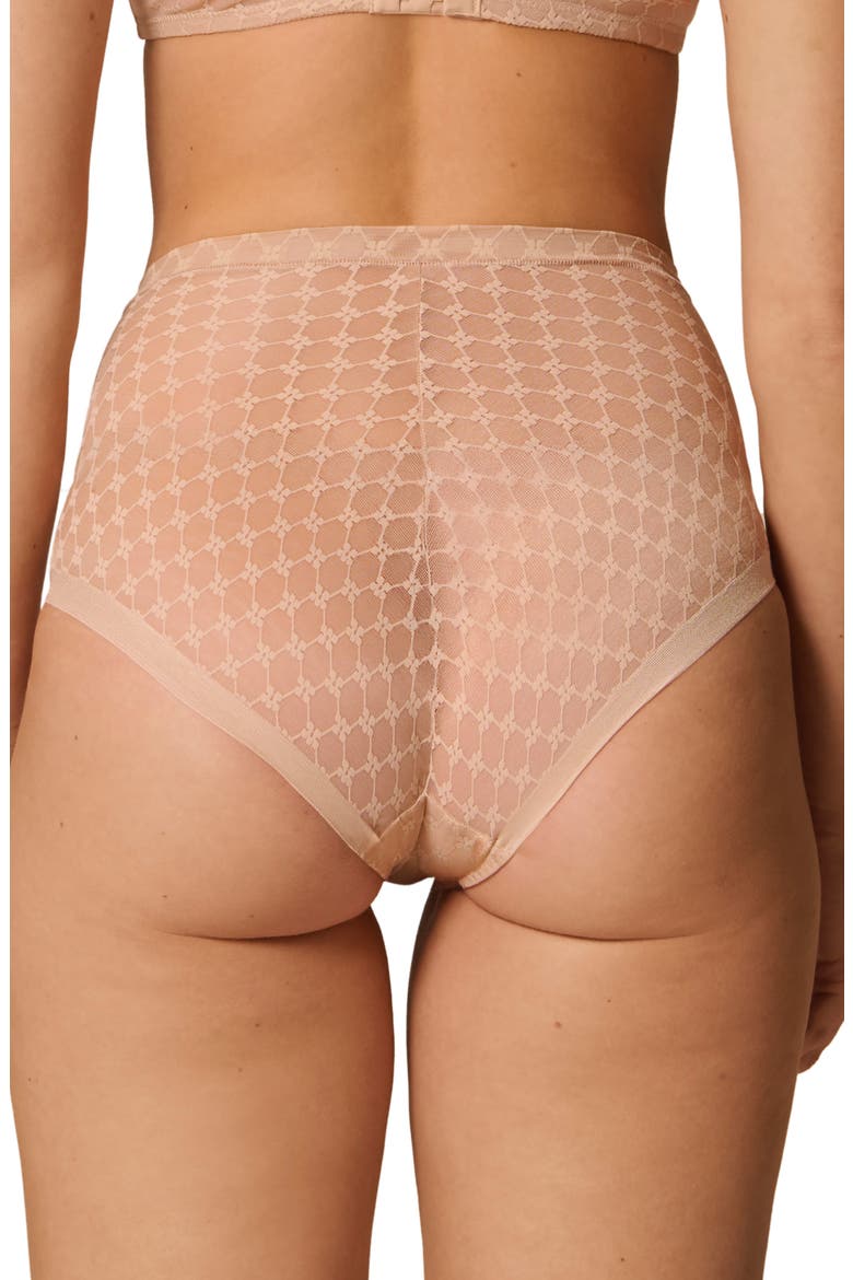 Plume Embroidered Shaping Briefs, Alternate, color, PEAU ROSE