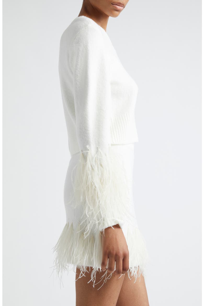 Briana Feather Trim Sweater, Alternate, color, IVORY