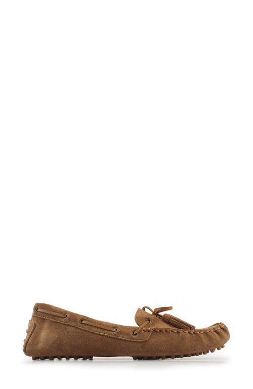 National Comfort Shyanne Suede Loafer In Tan Suede