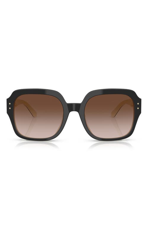 Tory Burch 56mm Round Sunglasses In Black/ivory
