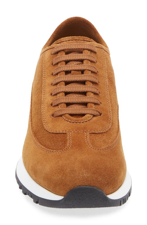 John Lobb Foundry Ii Sneaker In Tobacco