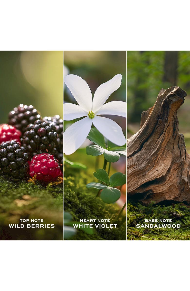 Marc Jacobs Daisy Eau de Toilette Gift Set $206 Value, Alternate, color, 