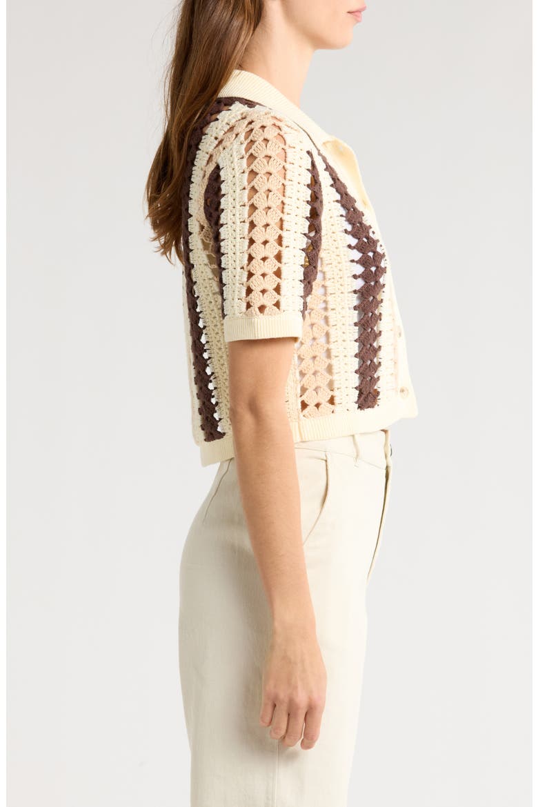 Roni Collar Crochet Cardigan, Alternate, color, CREAM/ BROWN