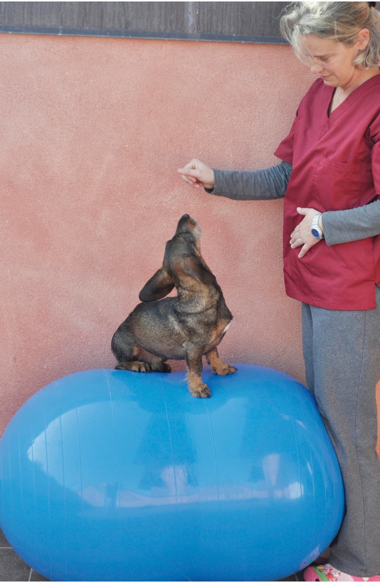 Gymnic Physio Roll 40, Alternate, color, Blue