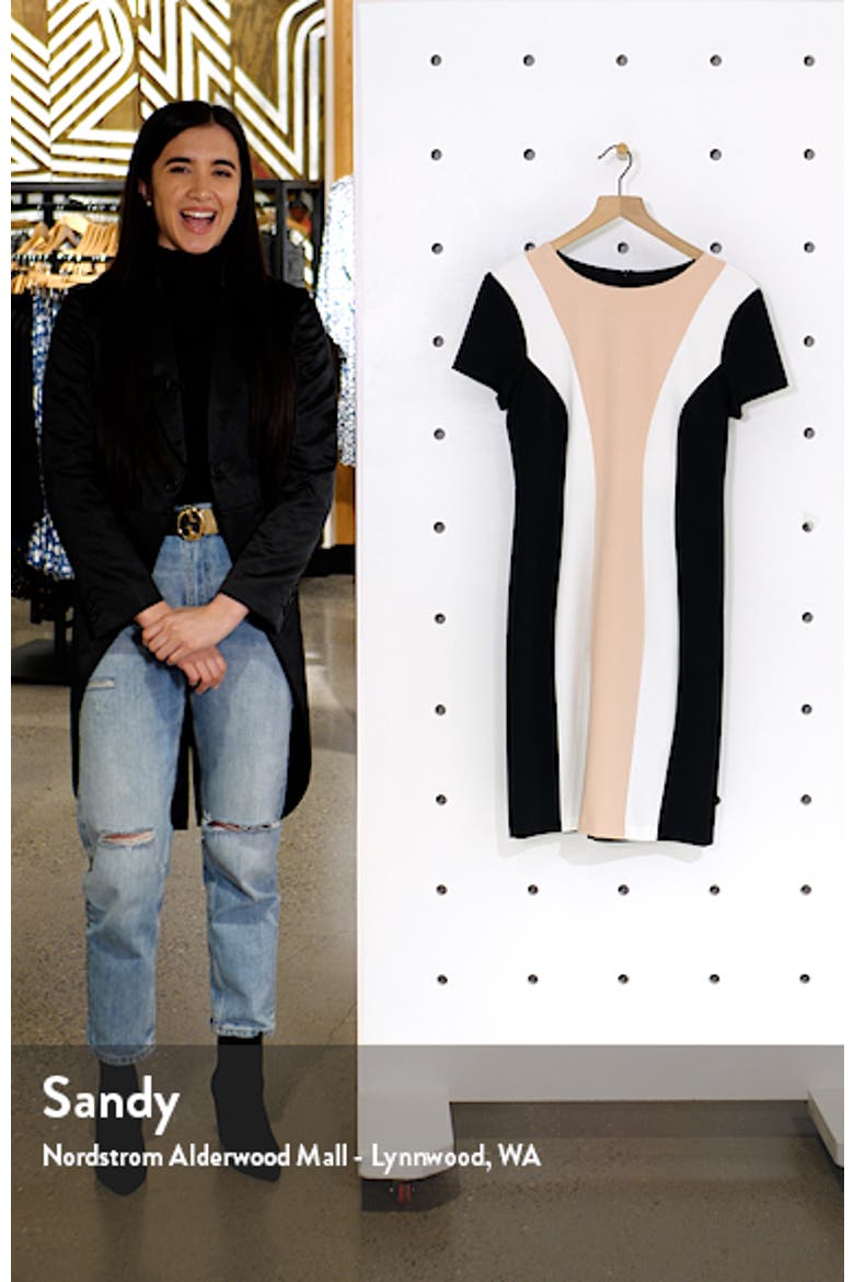 Colorblock Short Sleeve Dress video