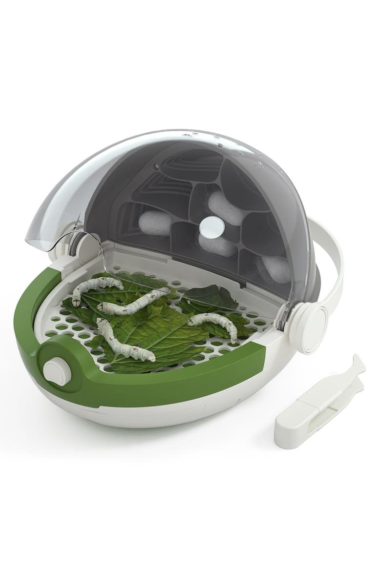 Insects Growth Station Grow & Observe, 6+, Main, color, Multicolored