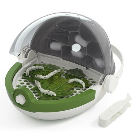 Insects Growth Station Grow 
Observe, 6+