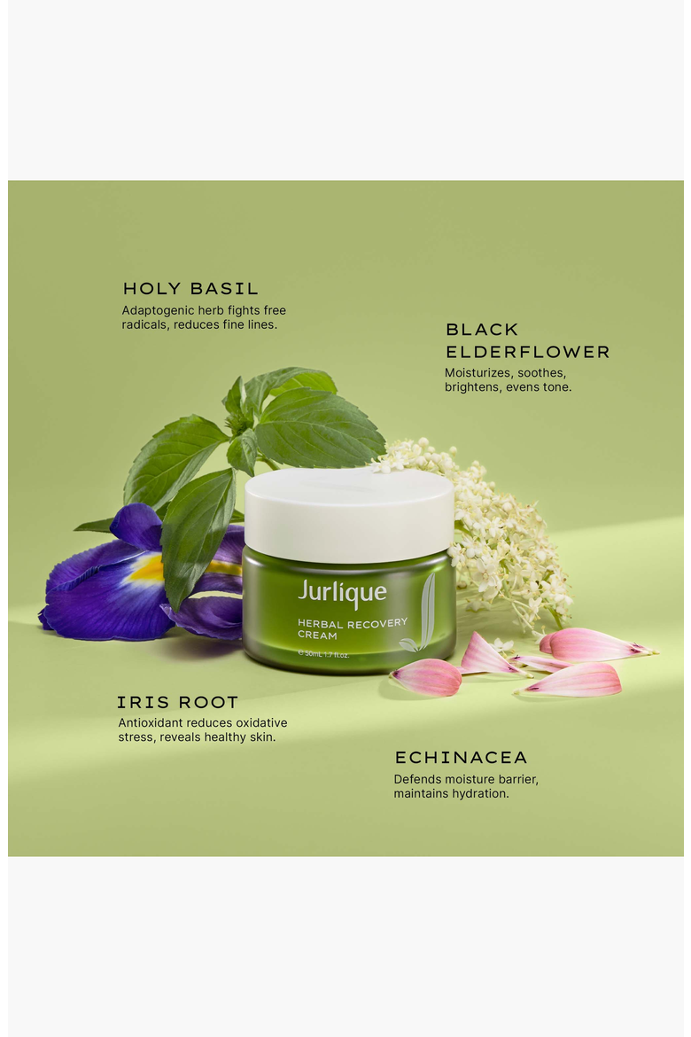 Herbal Recovery Cream Moisturizer, Alternate, color, None