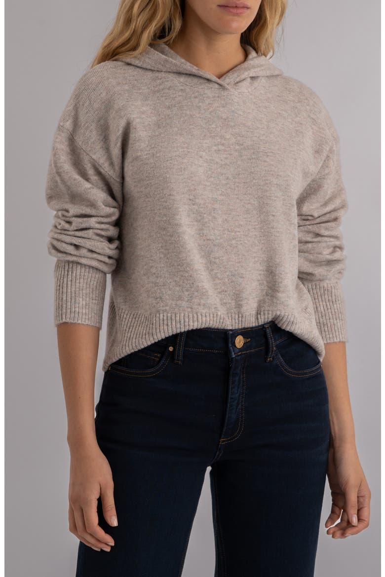 Linden Hooded Sweater, Main, color, TAUPE