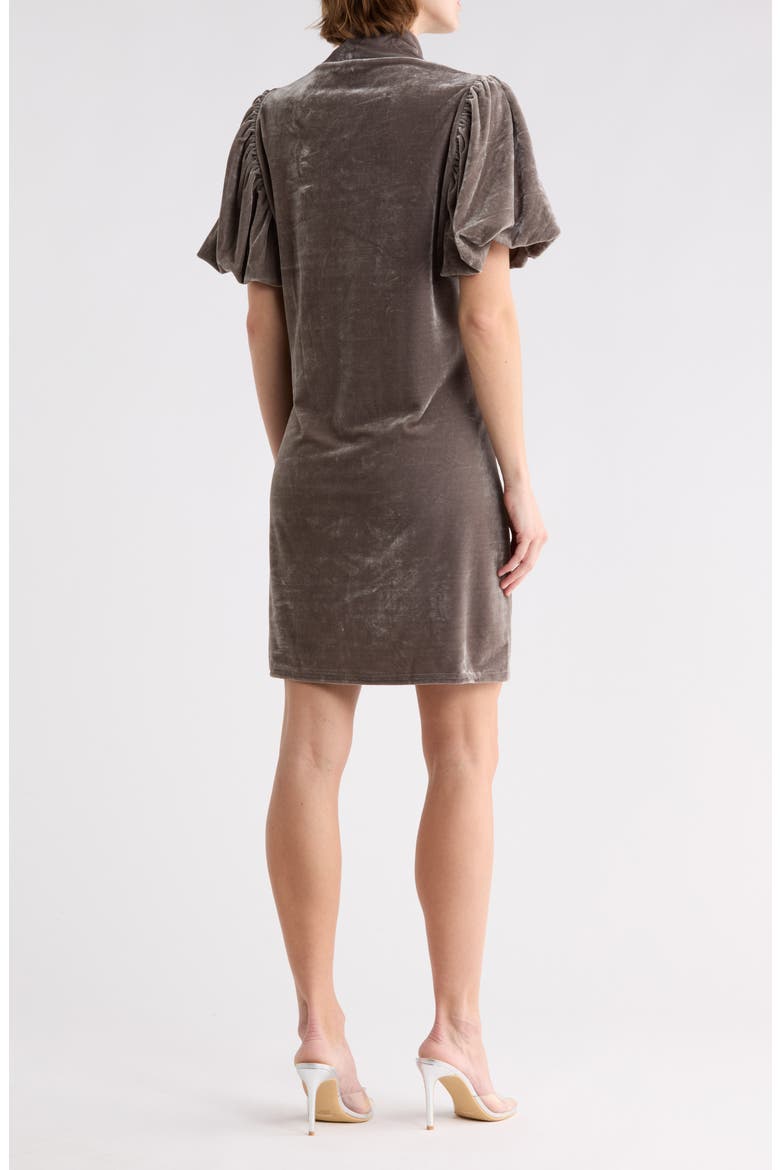 Mock Neck Puff Sleeve Velvet Dress, Alternate, color, GREY